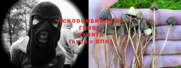 кокс Алзамай