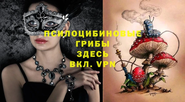 шишки Алексеевка