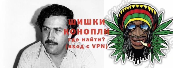 шишки Алексеевка