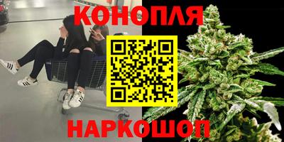 крисы Ярославль